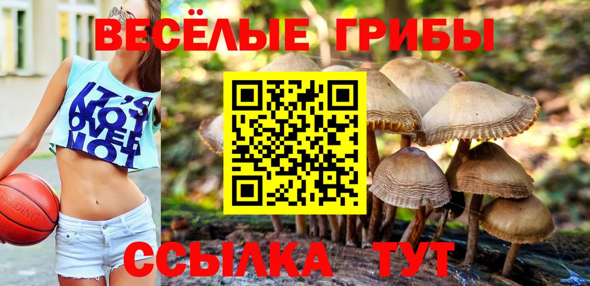 Жигулёвск  Галлюциногенные грибы мицелий  Псилоцибиновые грибы мицелий  Вход с VPN 